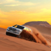 4-Hour Morning Desert Safari